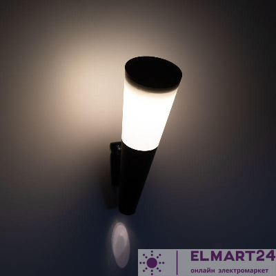 Светильник светодиодный ERAFS012-09 "Факел" 1LED RGB уличный настенный на солнечн. батарее Эра Б0057596
